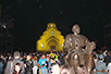 St. Vid’s Day in Andrićgrad (photo: Radoje Tasić)